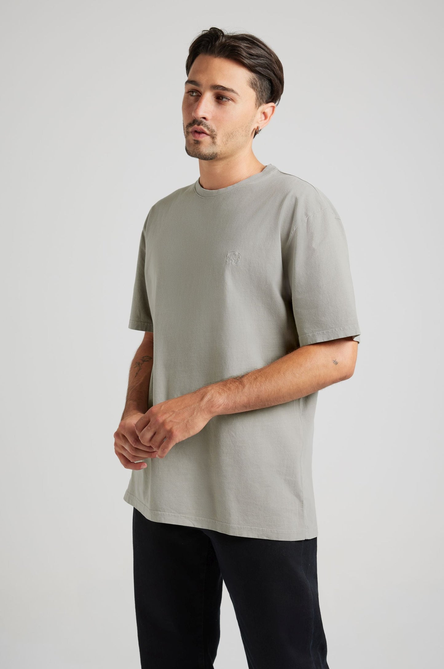 Essential Sunwashed T-Shirt Natural Gray - model front