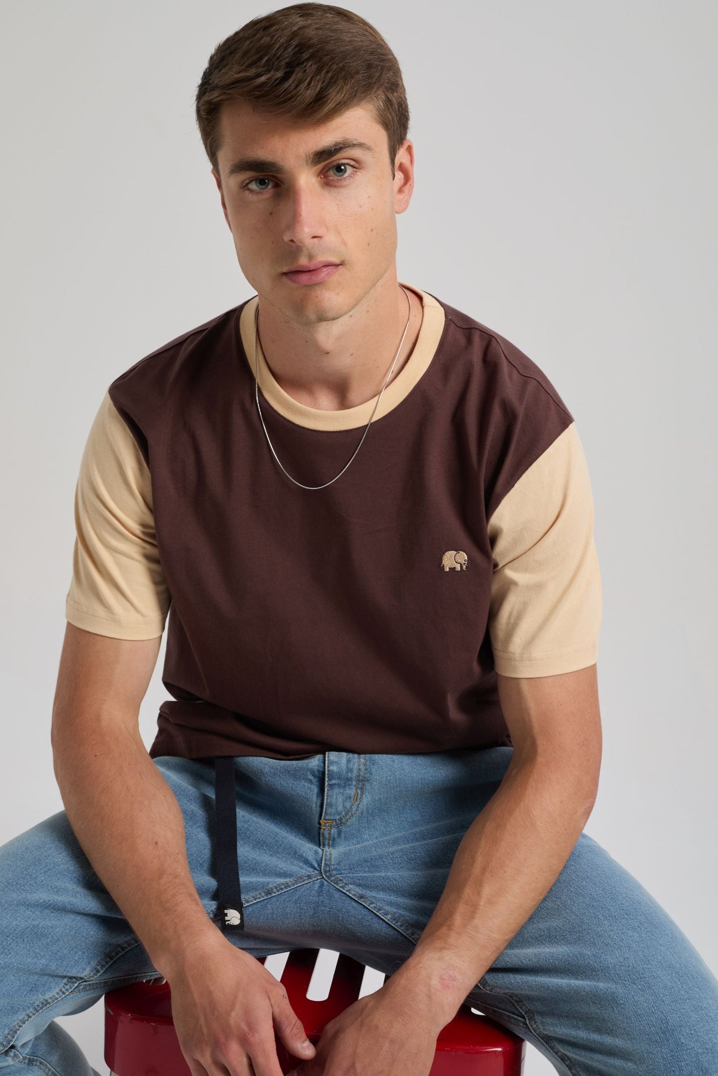 Color Block T-Shirt Solemnity Brown - model front