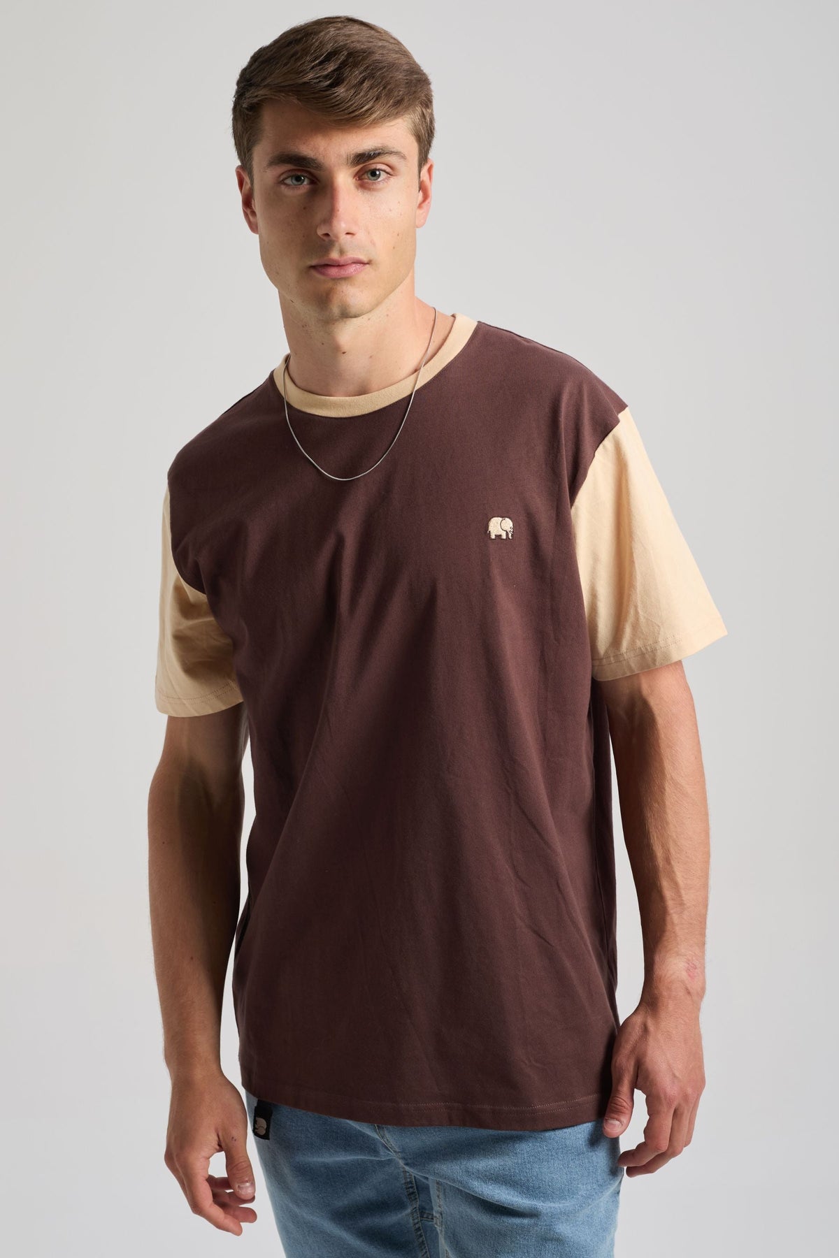 Color Block T-Shirt Solemnity Brown