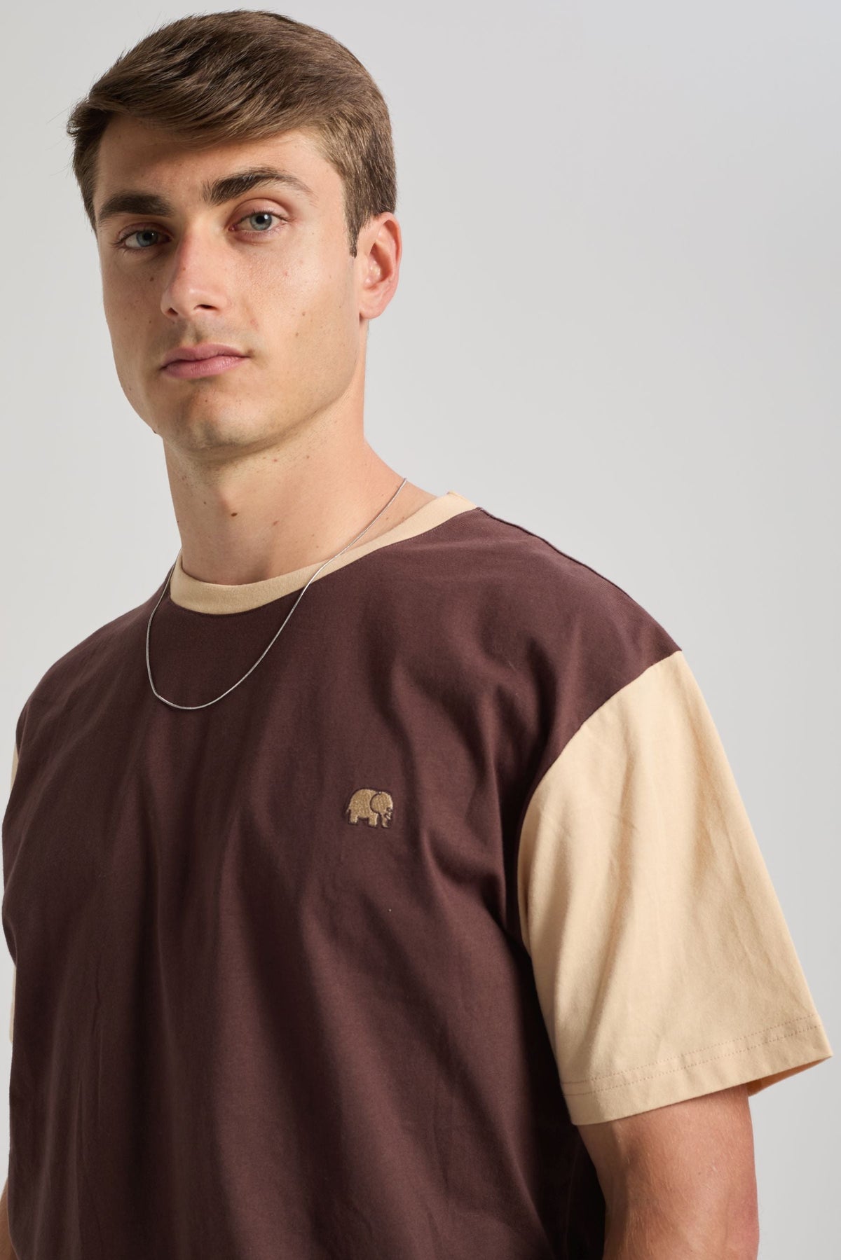 Color Block T-Shirt Solemnity Brown